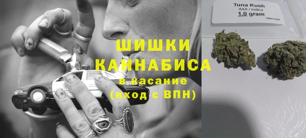 прущие грибы Каменка