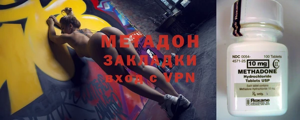 прущие грибы Каменка