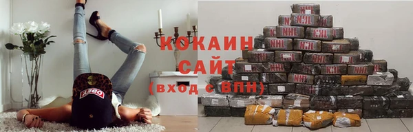 прущие грибы Каменка