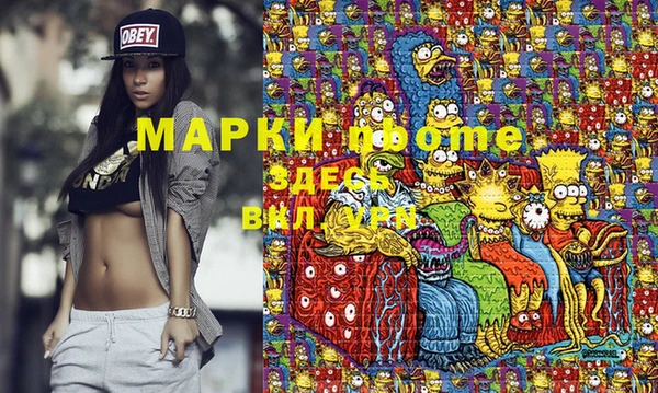 прущие грибы Каменка