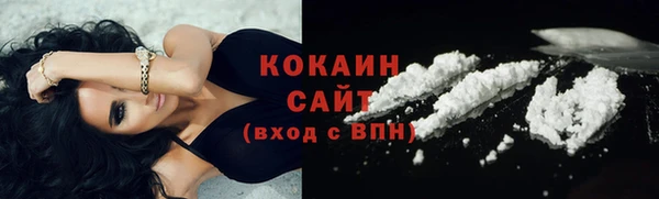 прущие грибы Каменка