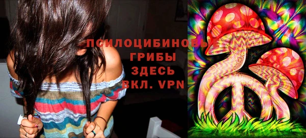бутират Каменногорск