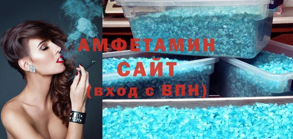 прущие грибы Каменка