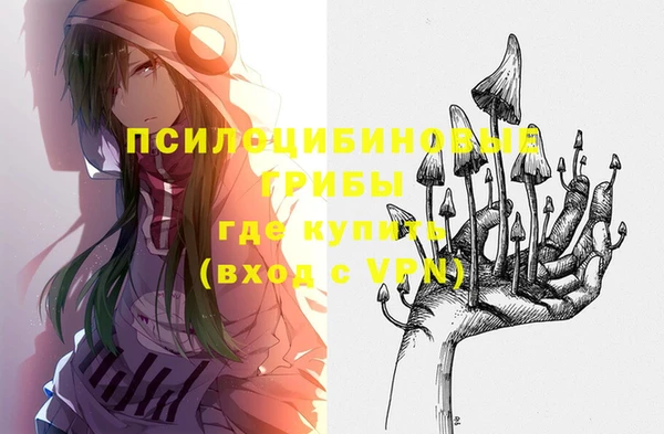 бутират Каменногорск