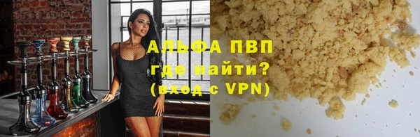 прущие грибы Каменка