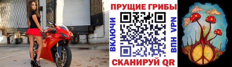 Купить где  Кыштым  Псилоцибиновые грибы мухоморы 