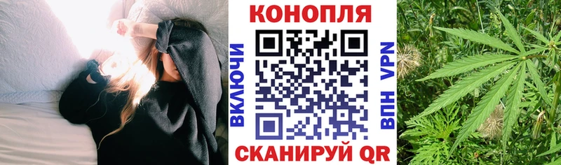Купить закладки  Кыштым  Бошки марихуана VHQ 